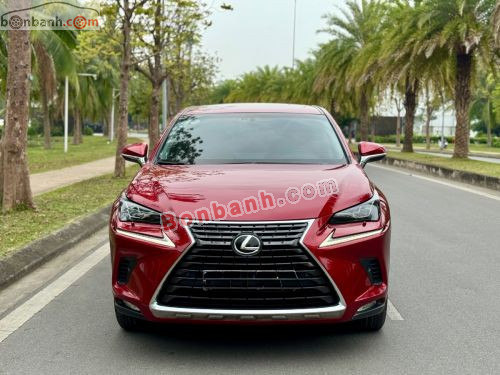 Lexus NX 300 2019 - ảnh 1