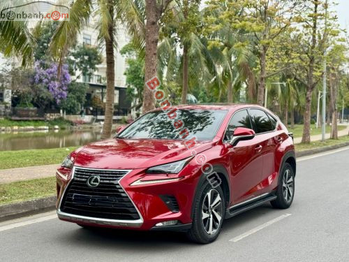 Lexus NX 300 2019 - ảnh 2