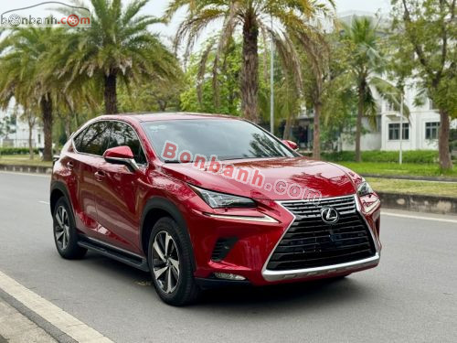 Lexus NX 300 2019 - ảnh 3