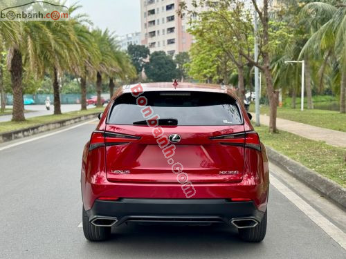 Lexus NX 300 2019 - ảnh 4