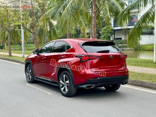 Lexus NX 300 2019 - ảnh 5