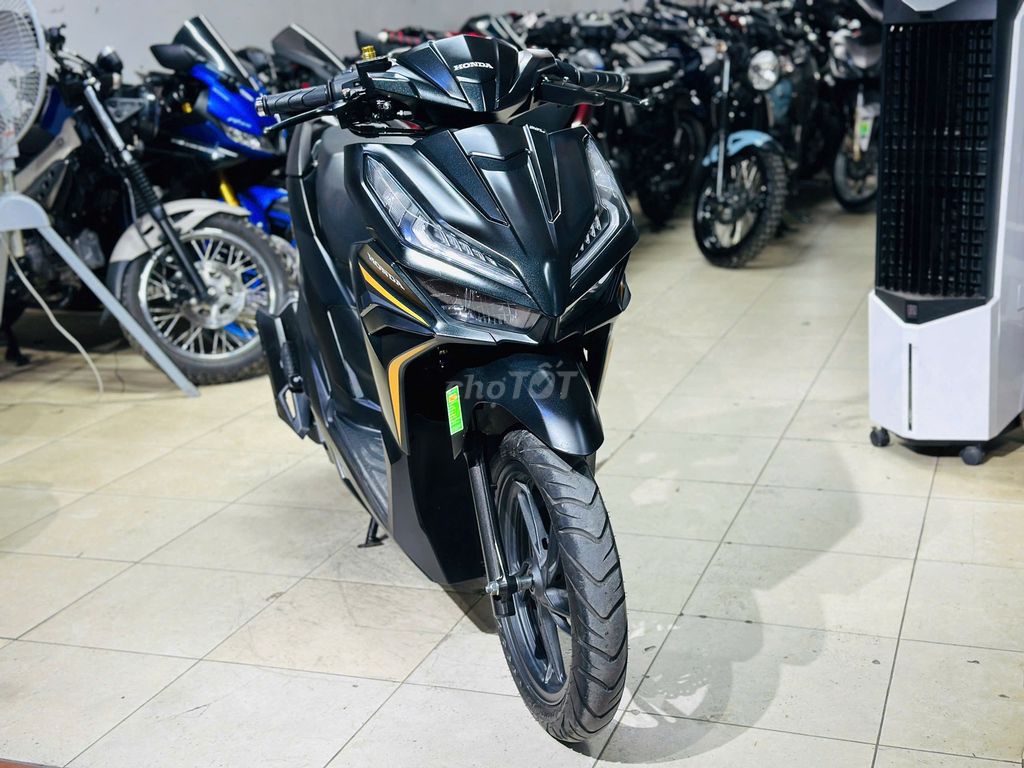 XE M 2025 - ảnh 1