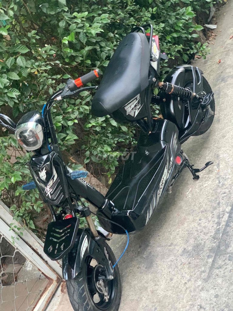 Xe 2021 - ảnh 1