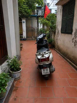 Honda Lead 2009 - ảnh 1