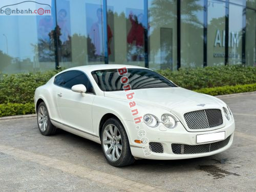 Bentley 2009 - ảnh 2