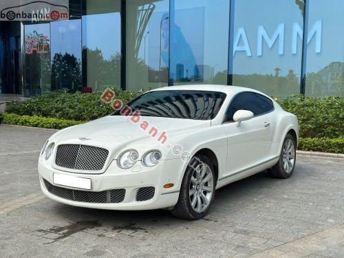 Bentley 2009 - ảnh 3
