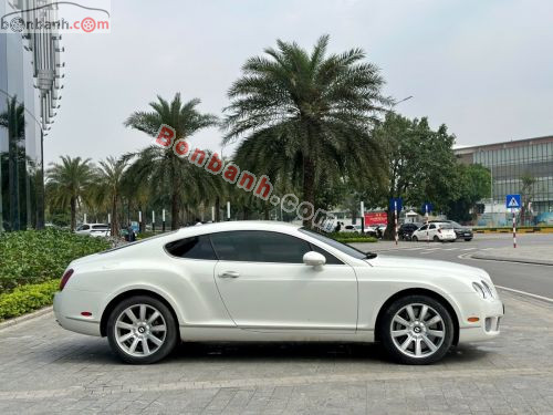 Bentley 2009 - ảnh 4