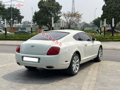 Bentley 2009 - ảnh 5