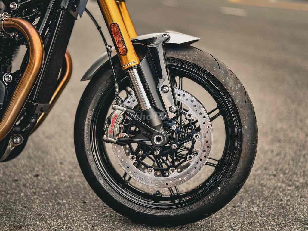 Triumph Speed 2026 - ảnh 4