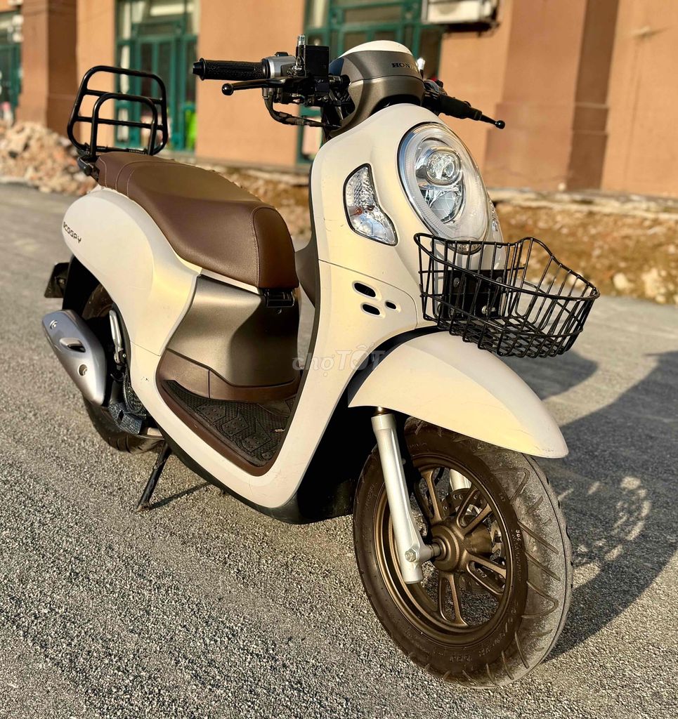 Honda Scoopy 2024 - ảnh 3