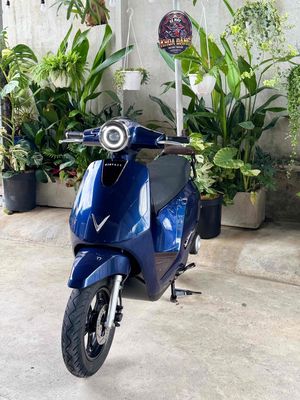 Xe m 2024 - ảnh 1