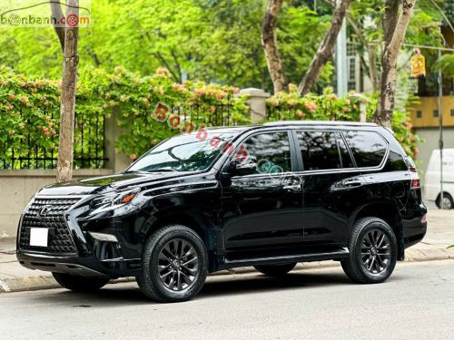Lexus GX 460 2021 - ảnh 3