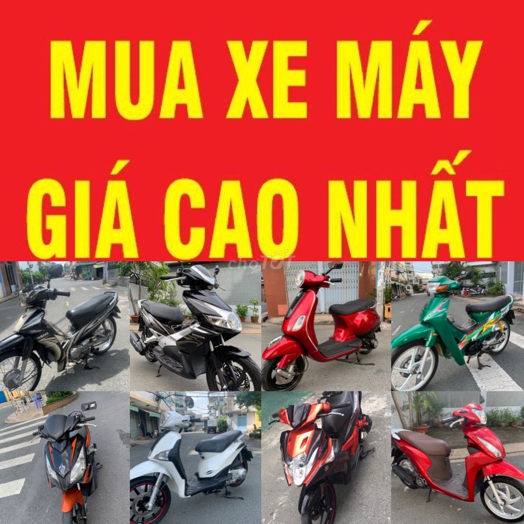MUA XE 2020 - ảnh 3