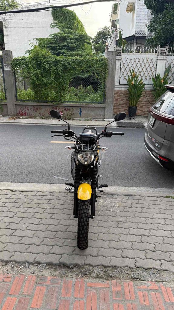 Yamaha PG 2024 - ảnh 3
