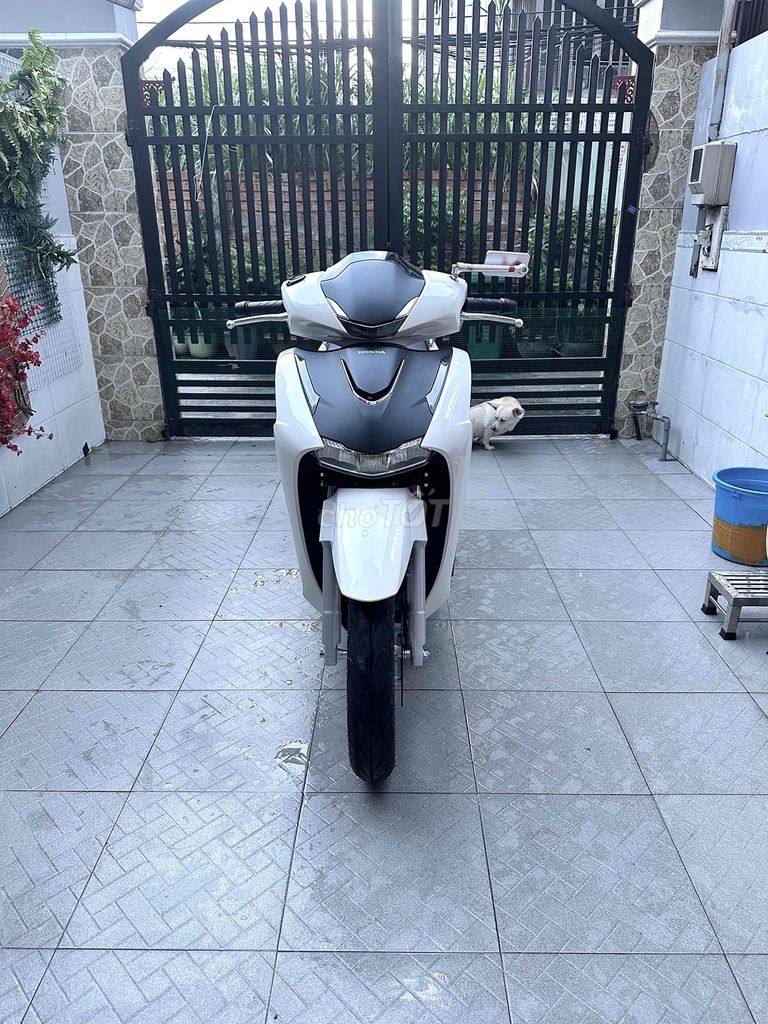 Honda SH 2026 - ảnh 1