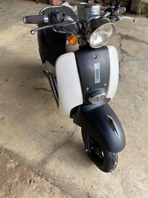 Xe ga 2021 - ảnh 1