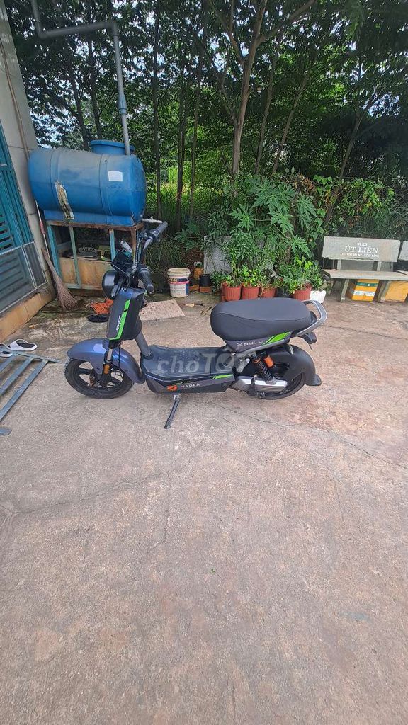 Xe m 2025 - ảnh 3