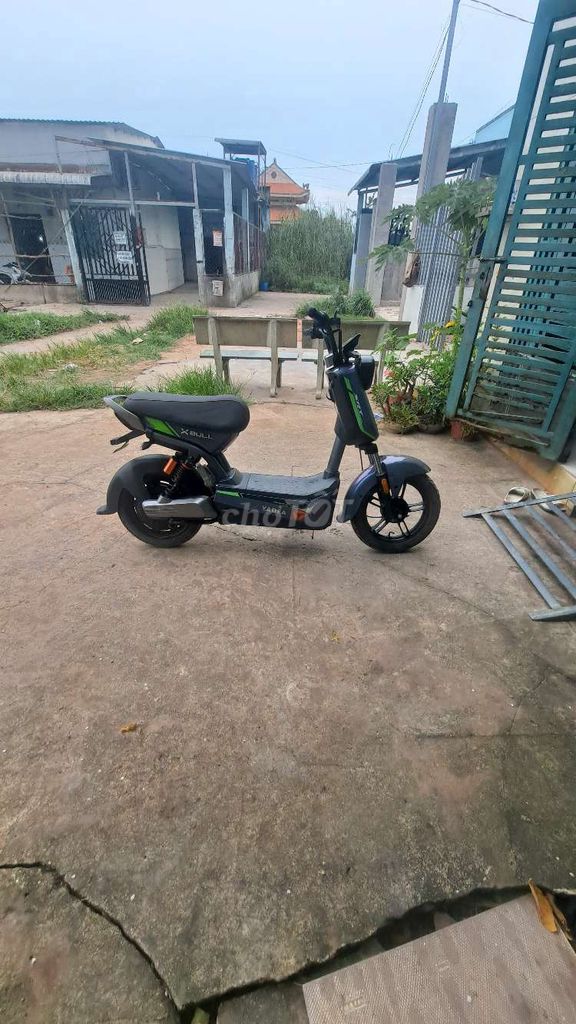 Xe m 2025 - ảnh 4