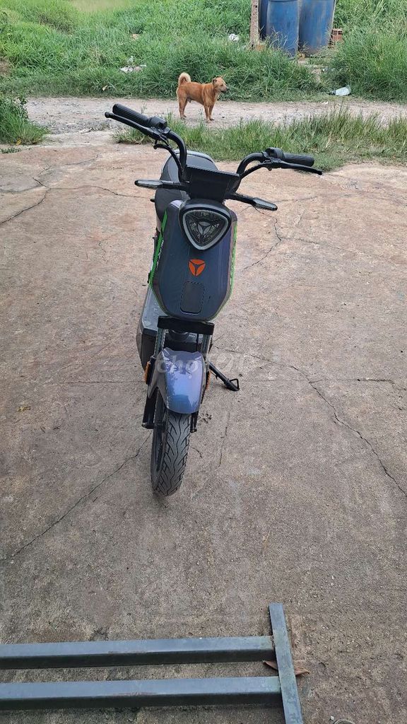 Xe m 2025 - ảnh 5