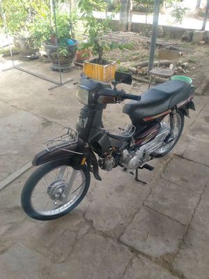 Xe m 2007 - ảnh 1
