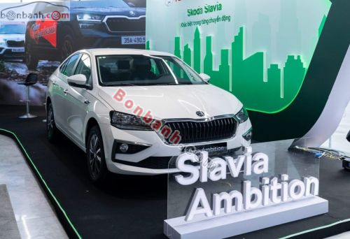 Skoda 2025 - ảnh 1