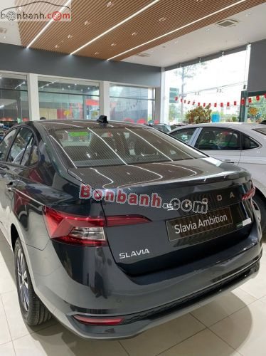 Skoda 2025 - ảnh 2