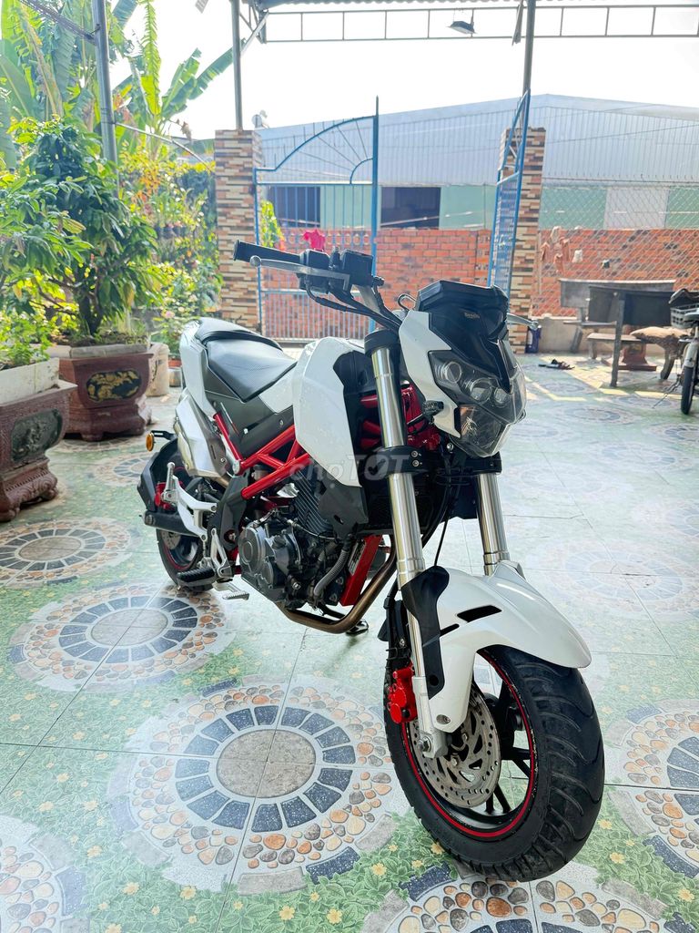Benelli 2019 - ảnh 1