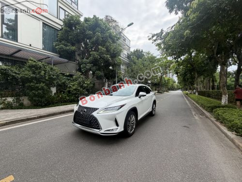 Lexus RX 300 2021 - ảnh 1