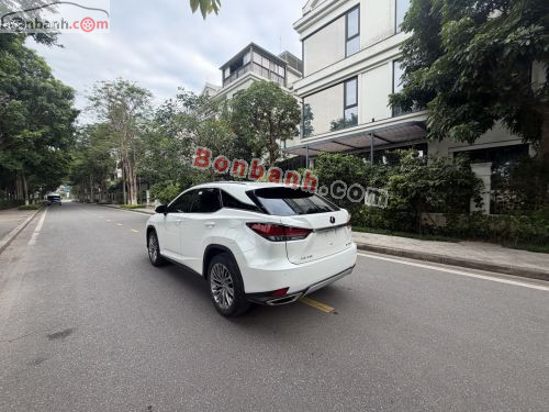 Lexus RX 300 2021 - ảnh 3