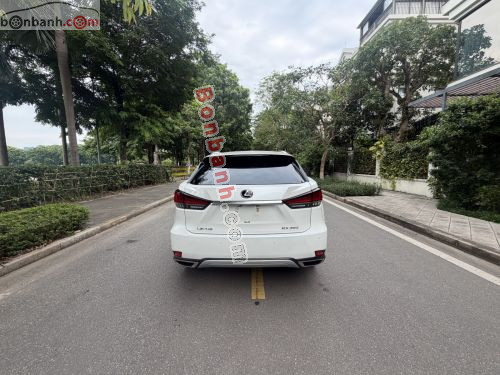 Lexus RX 300 2021 - ảnh 4