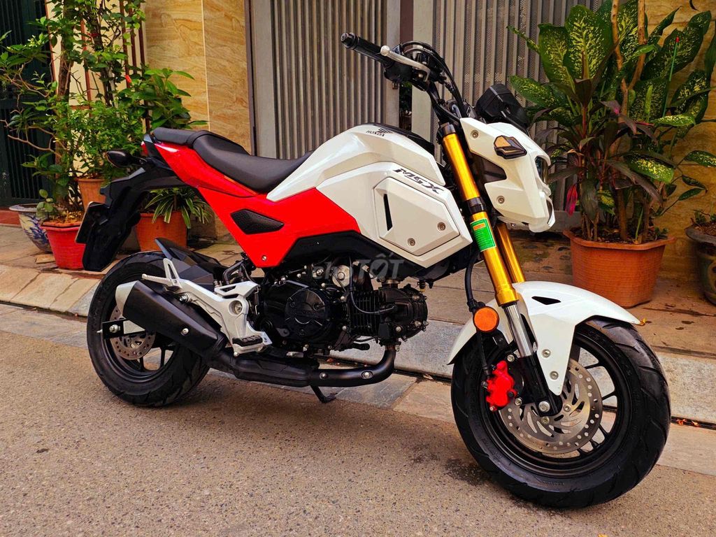 Honda MSX 2022 - ảnh 2