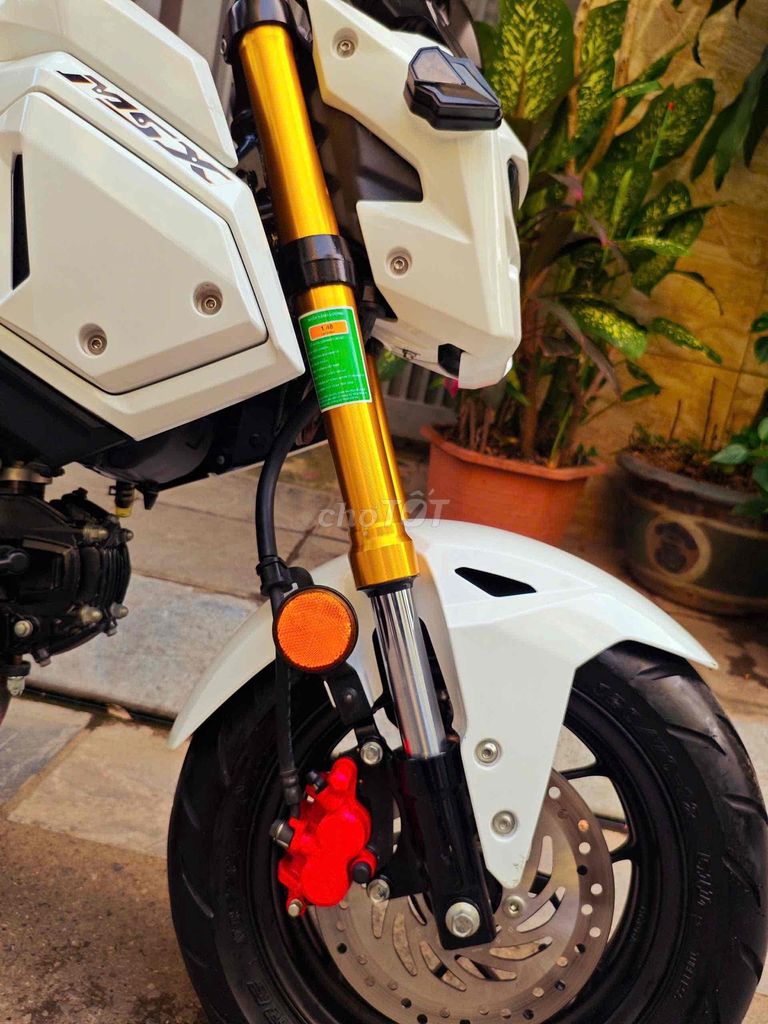 Honda MSX 2022 - ảnh 5
