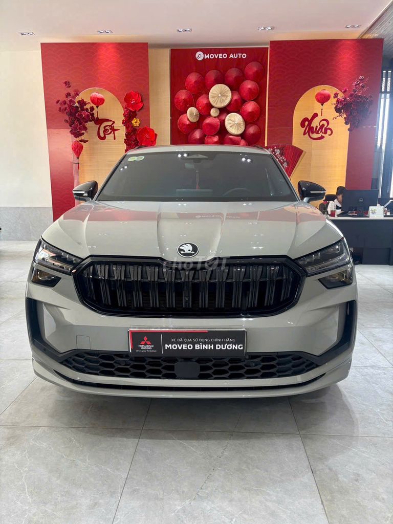 Skoda - ảnh 1