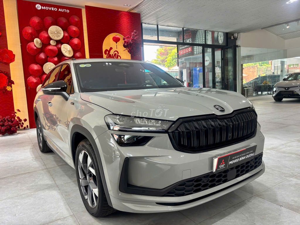 Skoda - ảnh 3