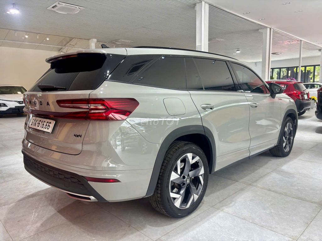Skoda - ảnh 4