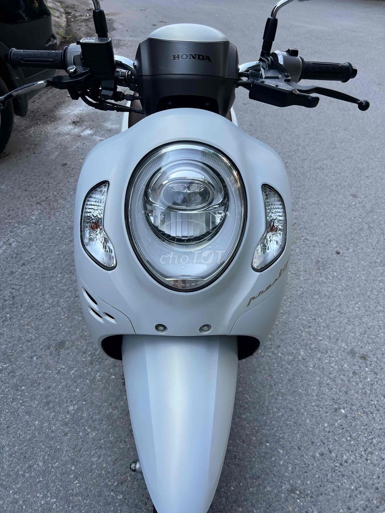 Honda Scoopy 2025 - ảnh 1