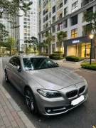 BMW 5 Series 520i 2013 - ảnh 1