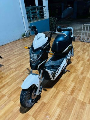 Xe m 2022 - ảnh 1