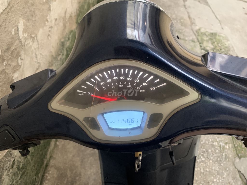 Dibao Pansy 2021 - ảnh 1