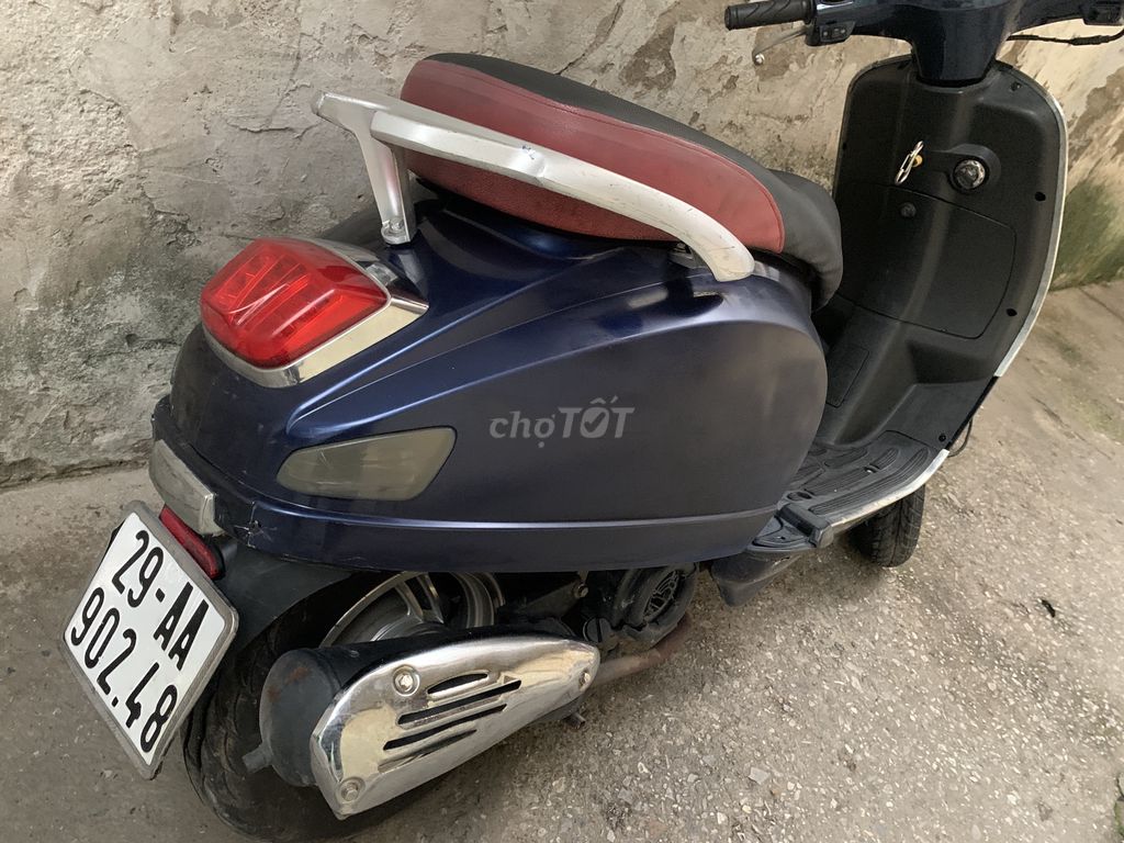 Dibao Pansy 2021 - ảnh 3