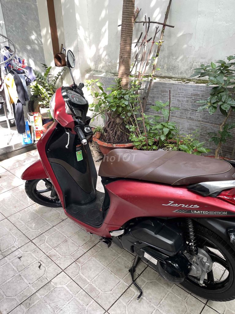 Yamaha Janus 2021 - ảnh 3