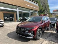 Hyundai Tucson 2.0 AT Đặc biệt 2025 - ảnh 1