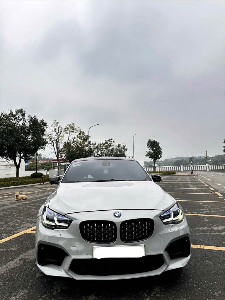 BMW 2009 - ảnh 1