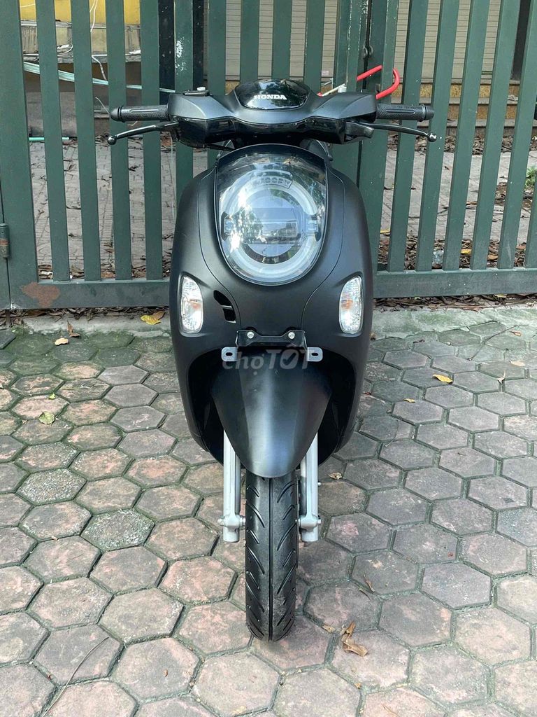 XE M 2016 - ảnh 1