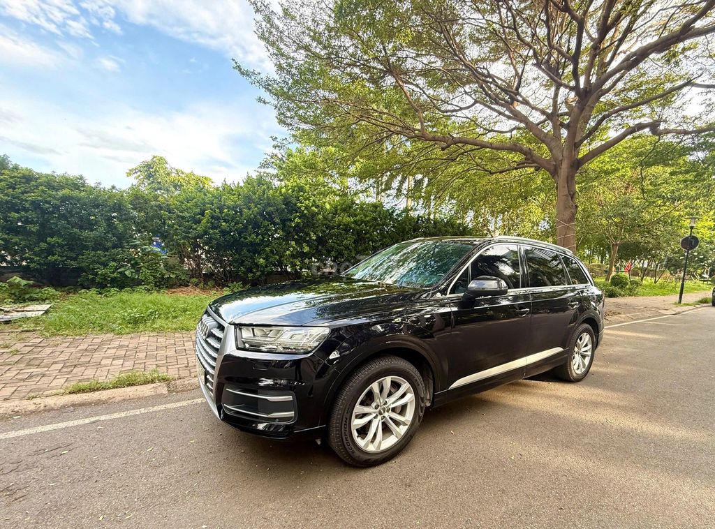 Audi Q7 2018 - ảnh 3