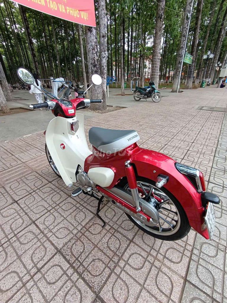 Honda Super 2019 - ảnh 1