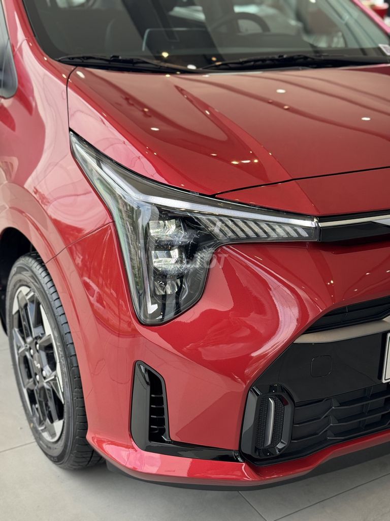 Kia - ảnh 3