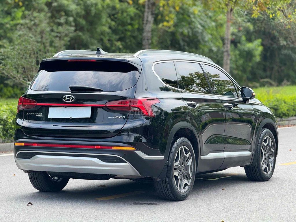 Hyundai Santa Fe 2021 - ảnh 4