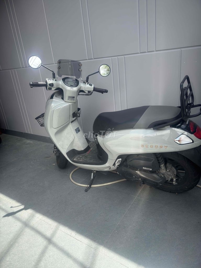 Honda Scoopy 2025 - ảnh 1