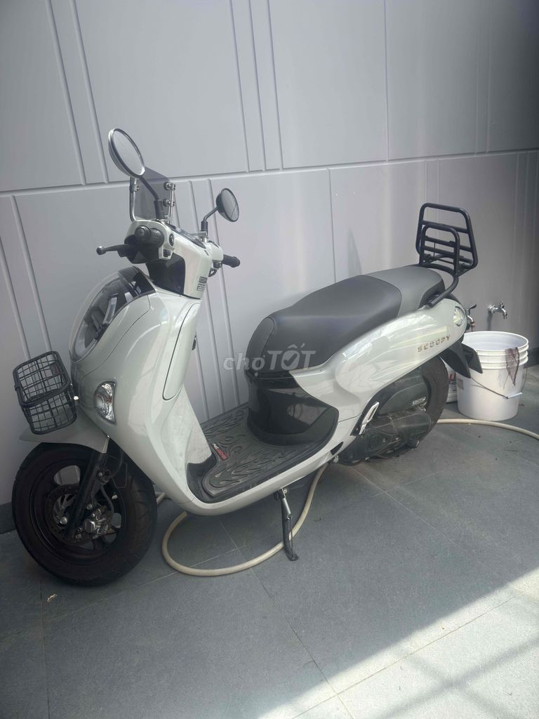 Honda Scoopy 2025 - ảnh 2